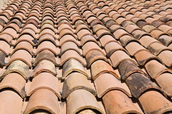 Roof Maintenance Services